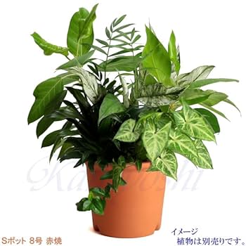 在庫限り！最安値！三河焼大型陶器鉢深型赤焼45cm 在庫限り！最安値！三河焼大型陶器鉢深型赤焼45cm